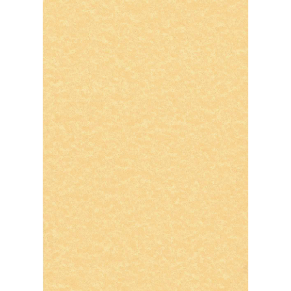 Printed Copier Bond