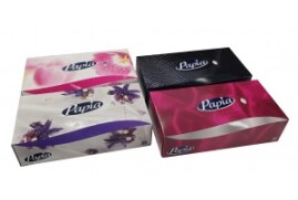 Papia 2 Ply Luxury Facial Tissues 100 Sheets 08FACE1