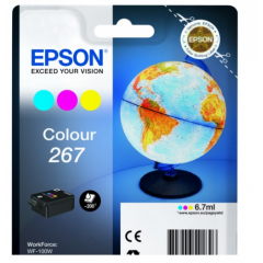 Epson 267 Globe Black Standard Capacity Ink Cartridge 7ml - C13T26704010 Image