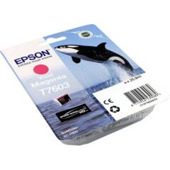 Epson T7603 Killer Whale Vivid Magenta Standard Capacity Ink Cartridge 26ml - C13T76034010 Image