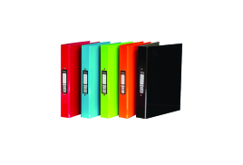 Pukka Brights Ringbinder A4 Assorted (Pack of 10) BR-9449