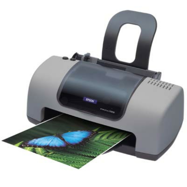 Epson Stylus C 42 Printer Ink