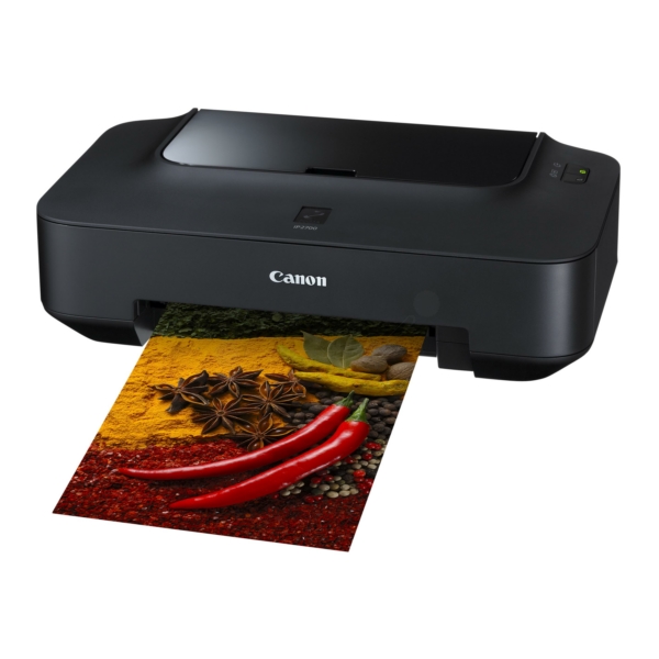 Canon Pixma IP 2702 Printer Ink