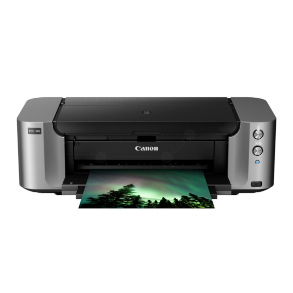 Canon Pixma PRO-10 S Printer Ink