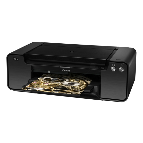 Canon Pixma PRO-1 Printer Ink