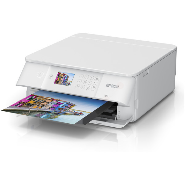 Epson Expression Premium XP-6005 Printer Ink